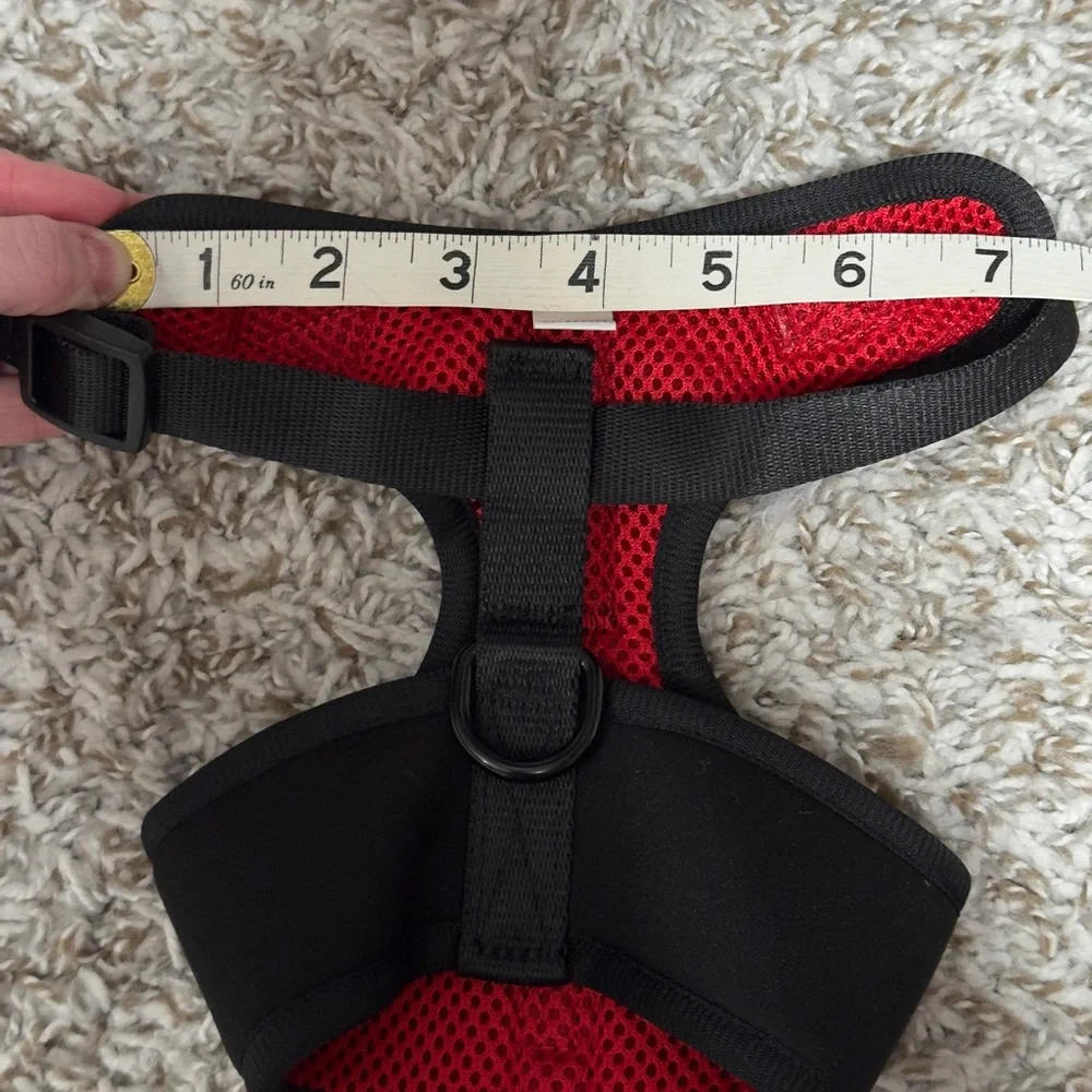 Maxbone sports Harness (black) SMALL